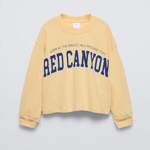 Zara yellow "Red Canyon" graphic print cropped sweatshirt